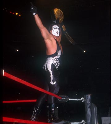 13sting.jpg