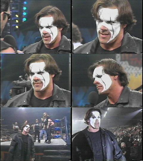 sting4.jpg