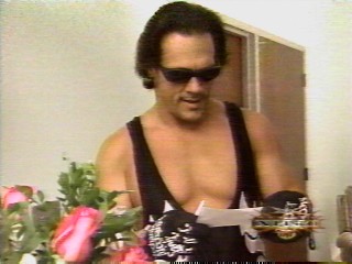 sting411.jpg